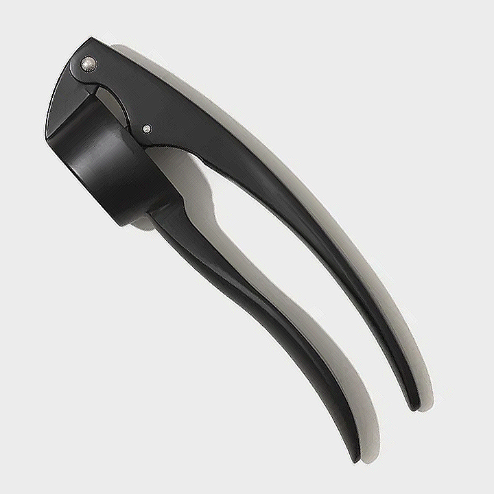Garlic Press